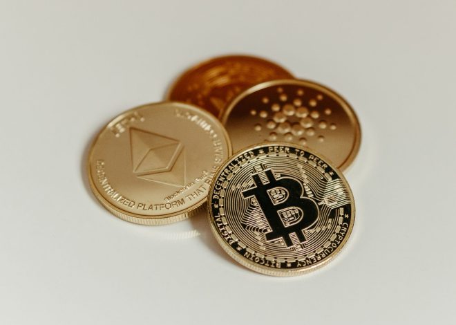 Cardano market rally: Is it the best time to invest?