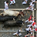 Nifty 50 bull run