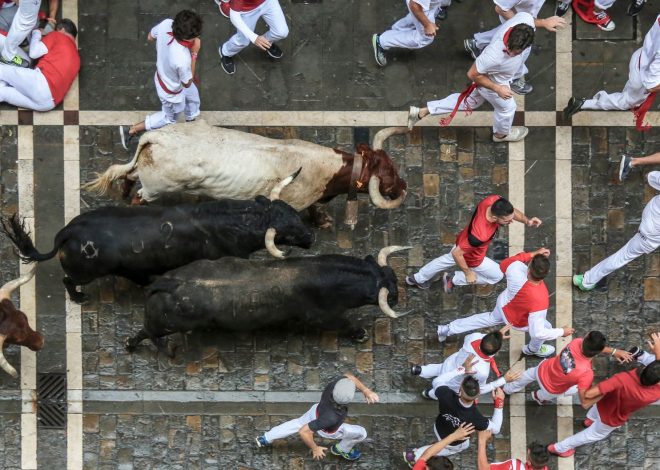 Nifty 50 bull run: One factor could spark a comeback