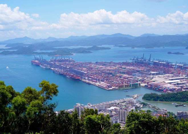China exports surge: Proven strategies for business growth