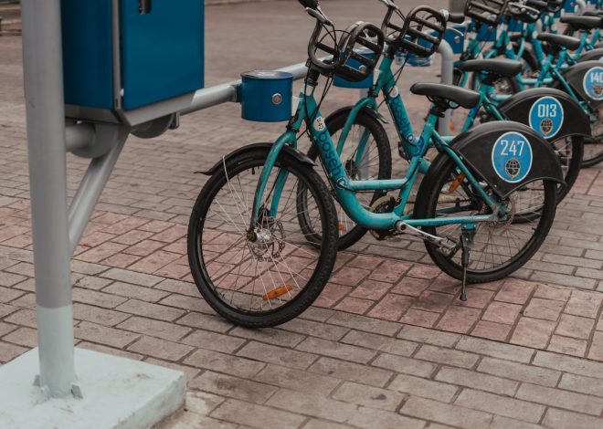 Ixigo shares surge: Proven growth in Q2 profits